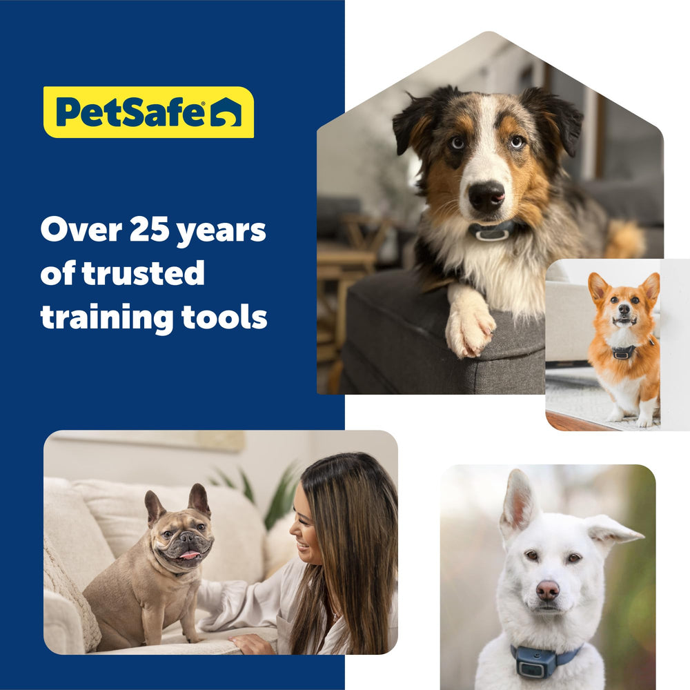 PetSafe backyard training setup supports safe, flexible practice.