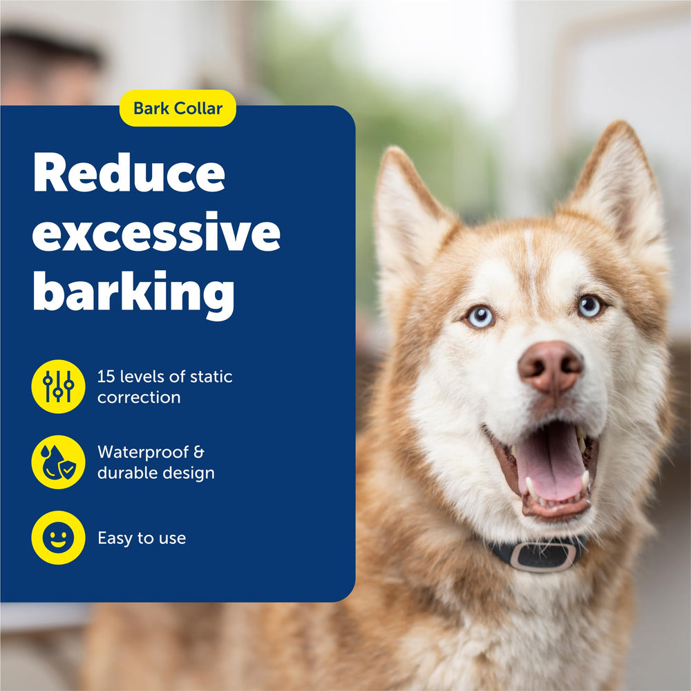 Petsafe Bark Collar offers gentle static correction for calm barking control.
