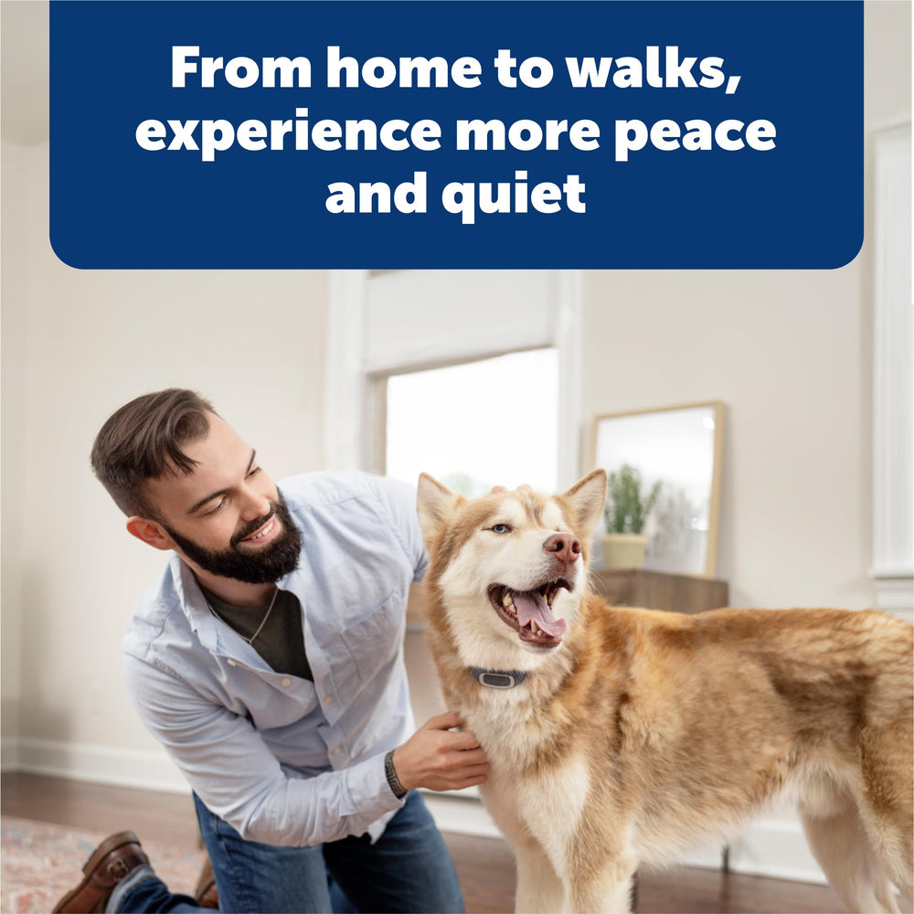Petsafe Bark Collar ideal for indoor and outdoor training sessions.