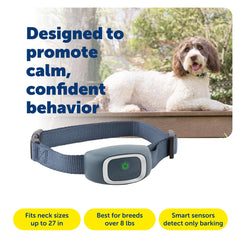 Petsafe Bark Collar weatherproof design for year-round indoor and outdoor use.