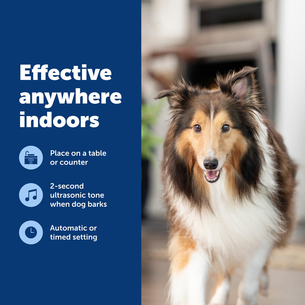 PetSafe settings: automatic and manual activation for flexible training