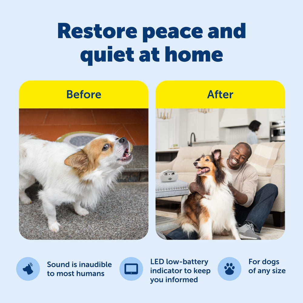 PetSafe bark control on table, convenient indoor placement for training