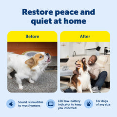 PetSafe bark control on table, convenient indoor placement for training