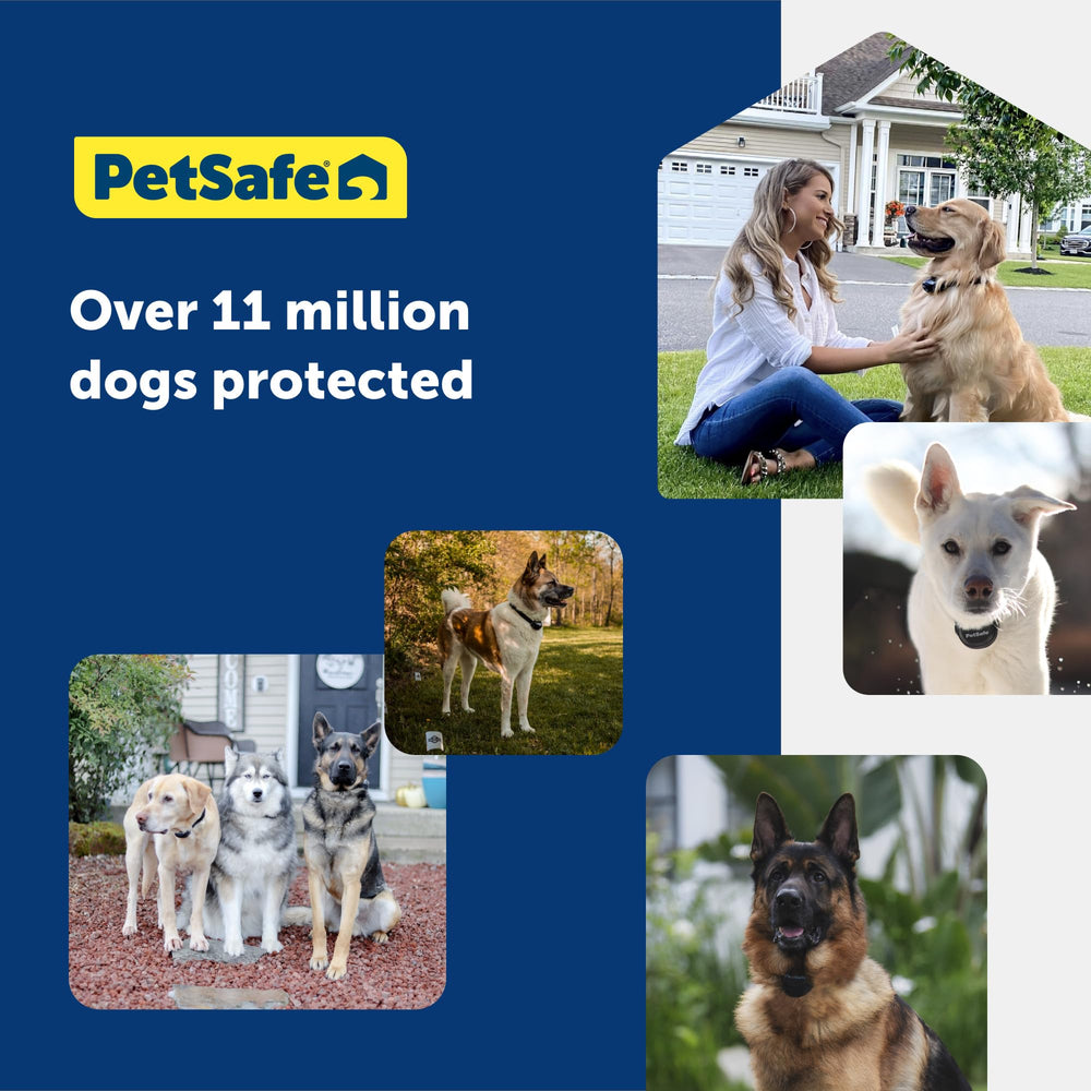 PetSafe battery longevity supports 1–3 month replacement cycles