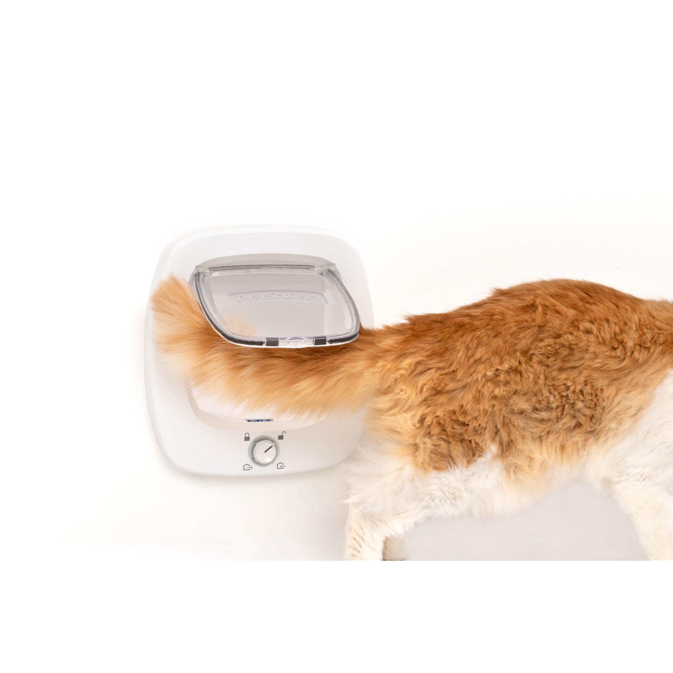 PetSafe Big Cat Door DIY installation guide image highlights simple setup.