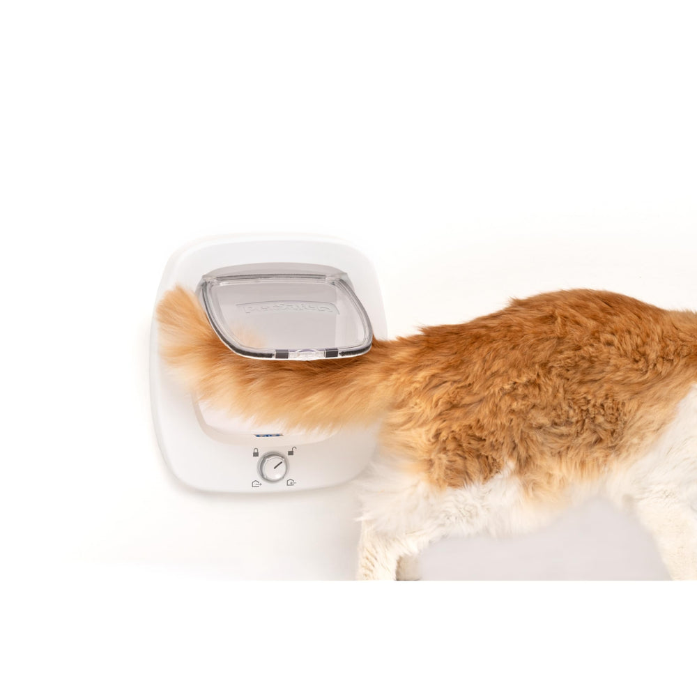 PetSafe Big Cat Door DIY installation guide image highlights simple setup.