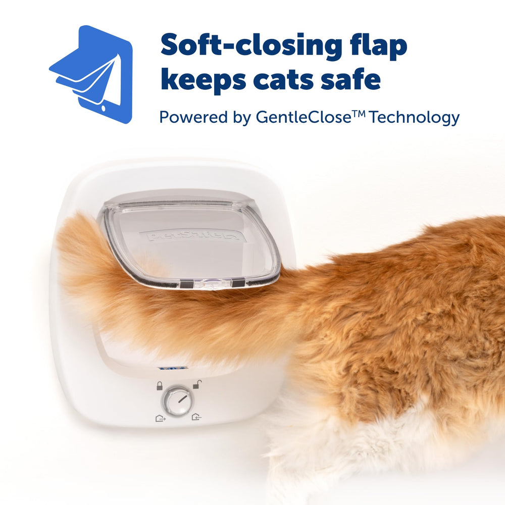 PetSafe Big Cat Door interior-exterior use demonstrates versatile door compatibility.