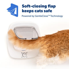 PetSafe Big Cat Door interior-exterior use demonstrates versatile door compatibility.