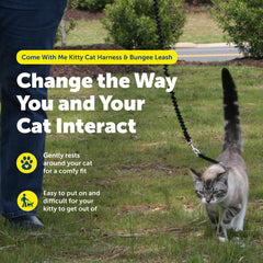 PetSafe Bungee Leash extended to show gentle give during a walk.