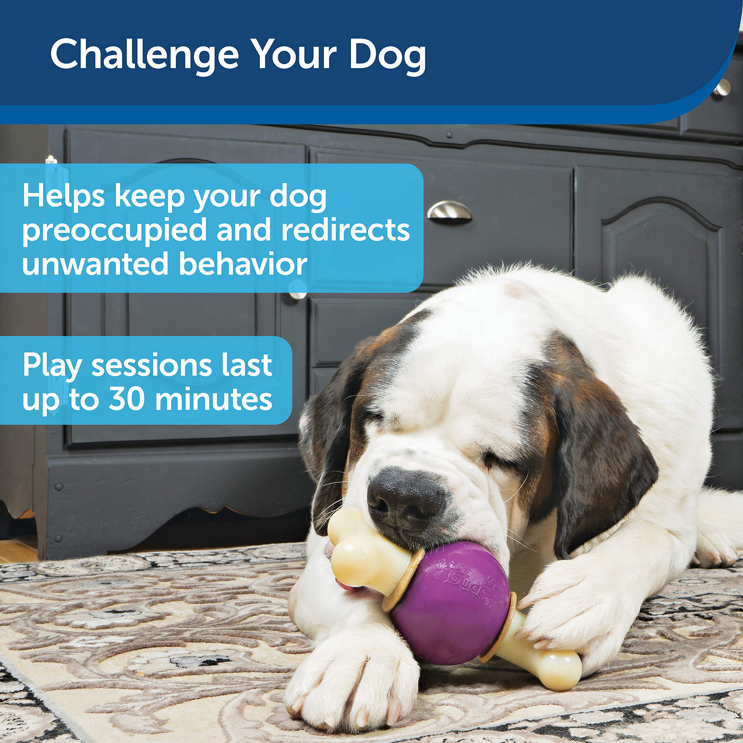 PetSafe Busy Buddy Bouncy Bone dishwasher-safe for easy cleaning.
