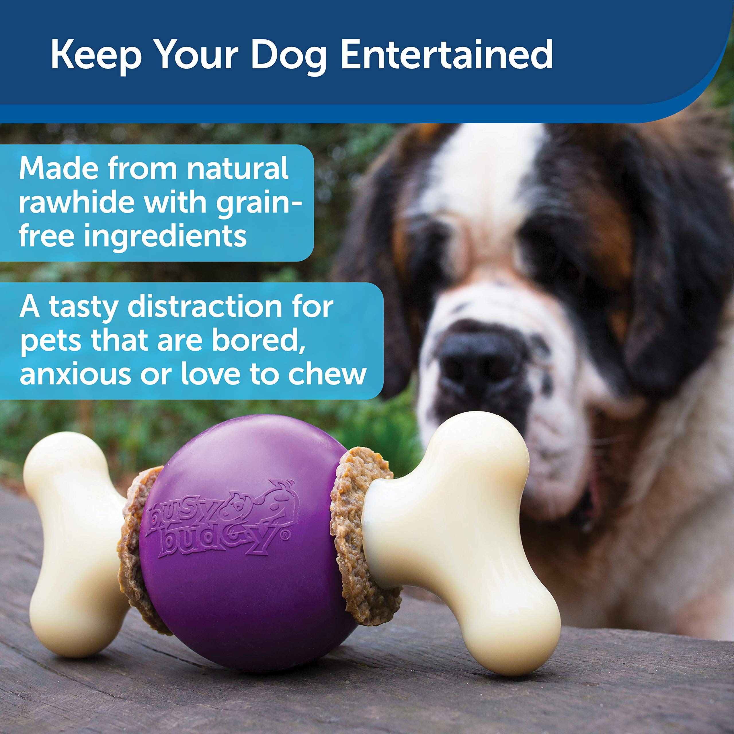 PetSafe Busy Buddy Bouncy Bone rubber ball for interactive play.