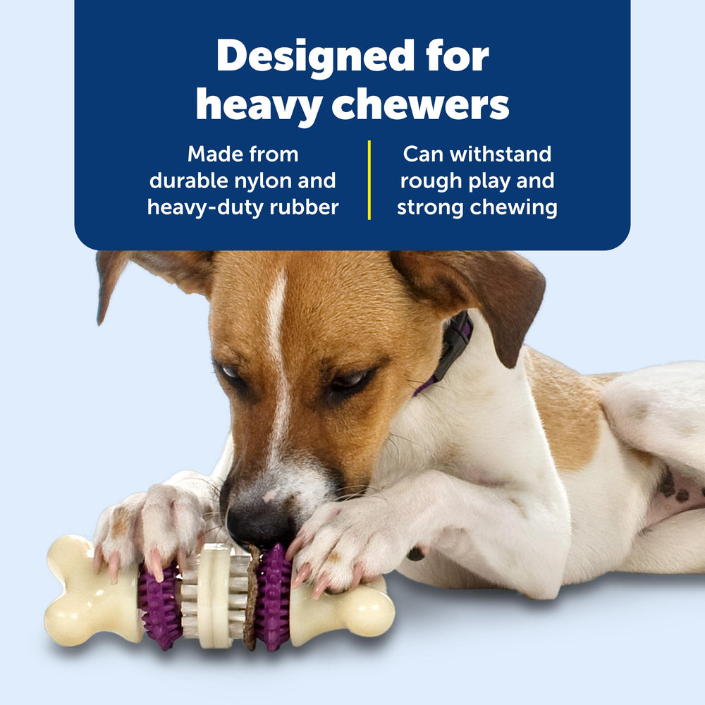 Dog enjoying interactive play with PetSafe Bristle Bone to curb boredom