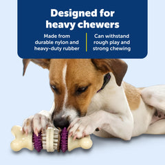 Dog enjoying interactive play with PetSafe Bristle Bone to curb boredom