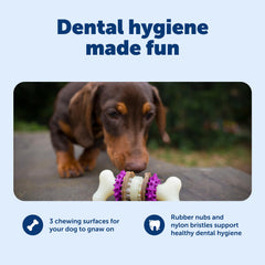 Durable PetSafe Bristle Bone made of nylon and rubber for tough chewers
