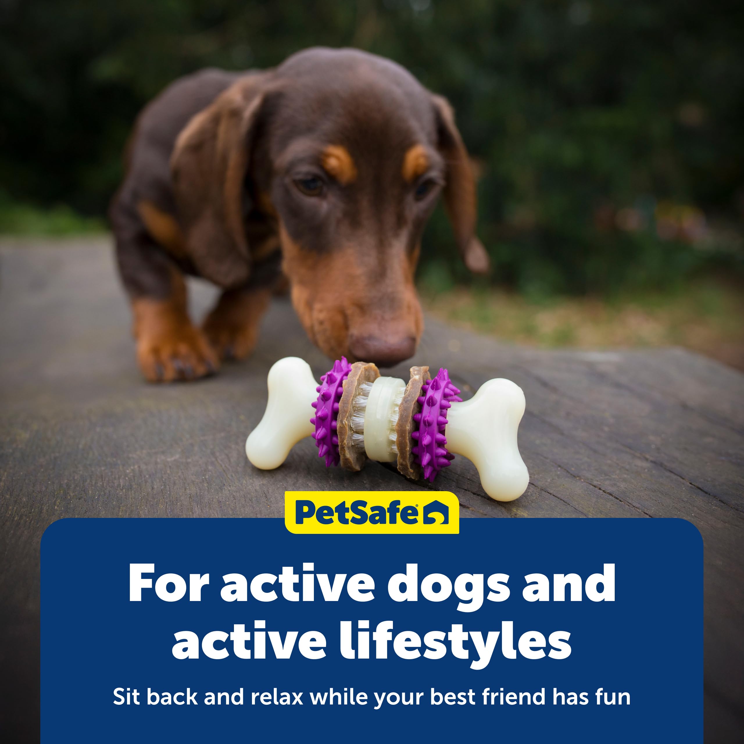 Large dog use: Bristle Bone designed for 50–90 pounds
