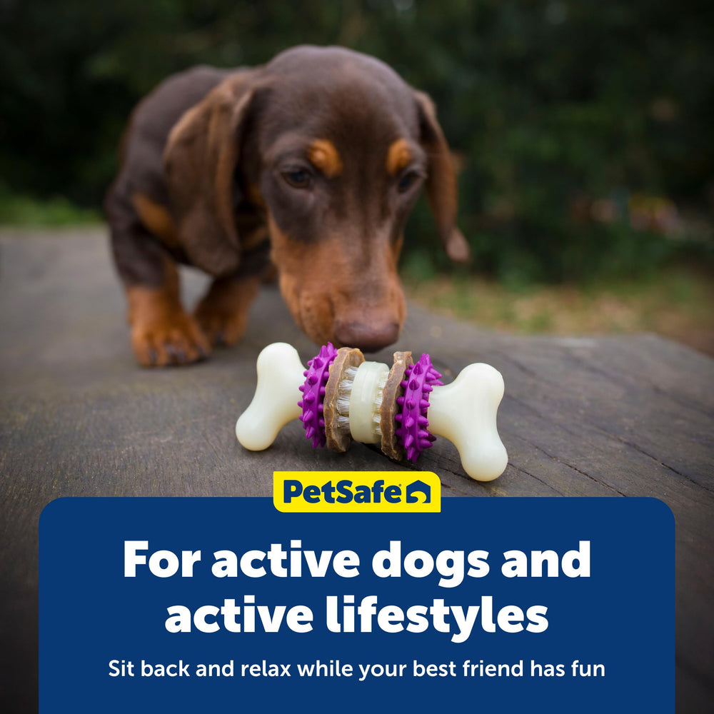 Large dog use: Bristle Bone designed for 50–90 pounds