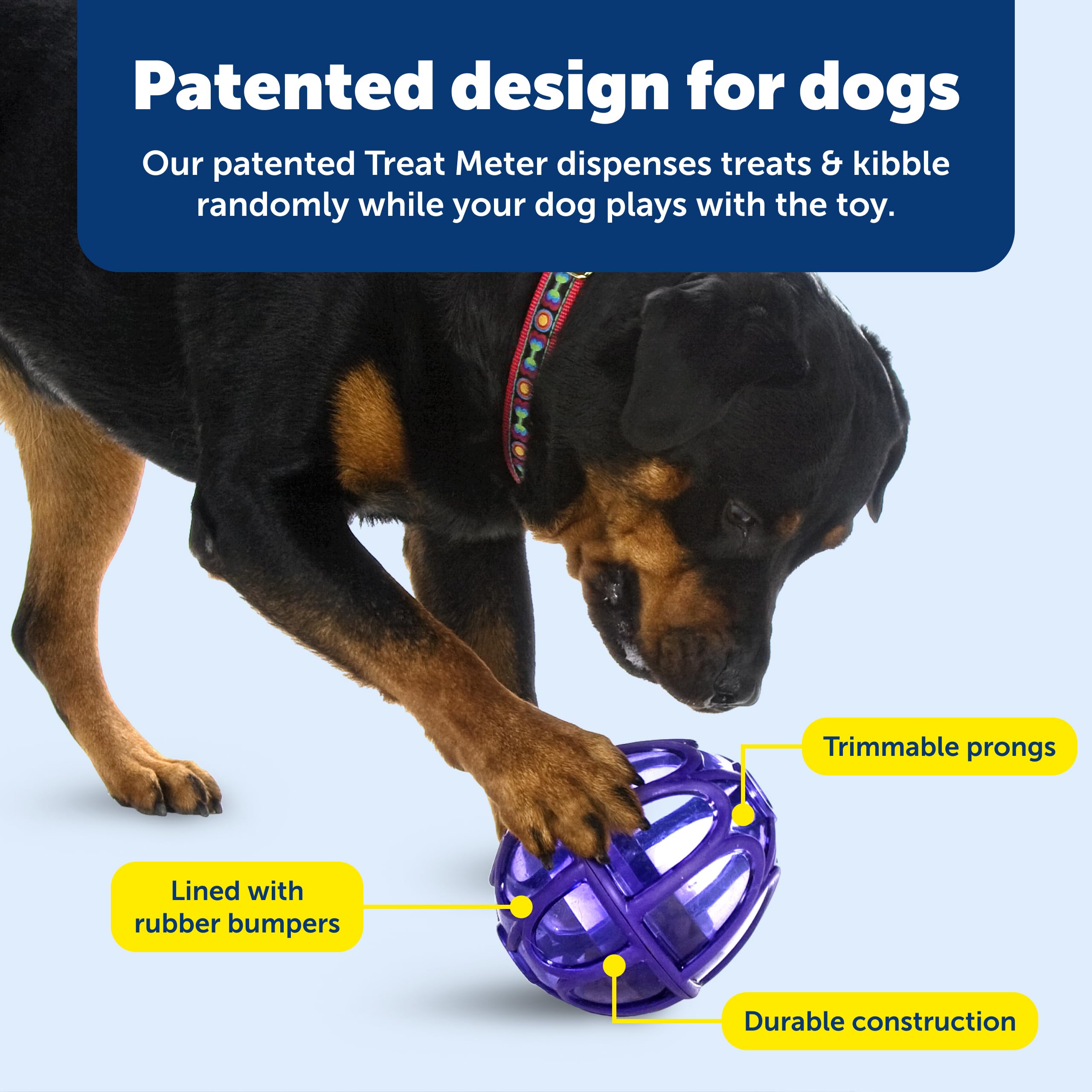 PetSafe Busy Buddy Kibble Nibble adjustable flow for customized release