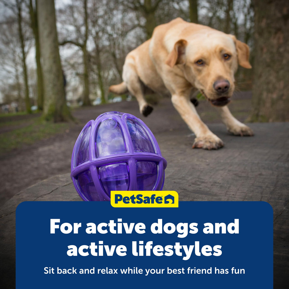 PetSafe Busy Buddy Kibble Nibble suitable for medium to large dogs