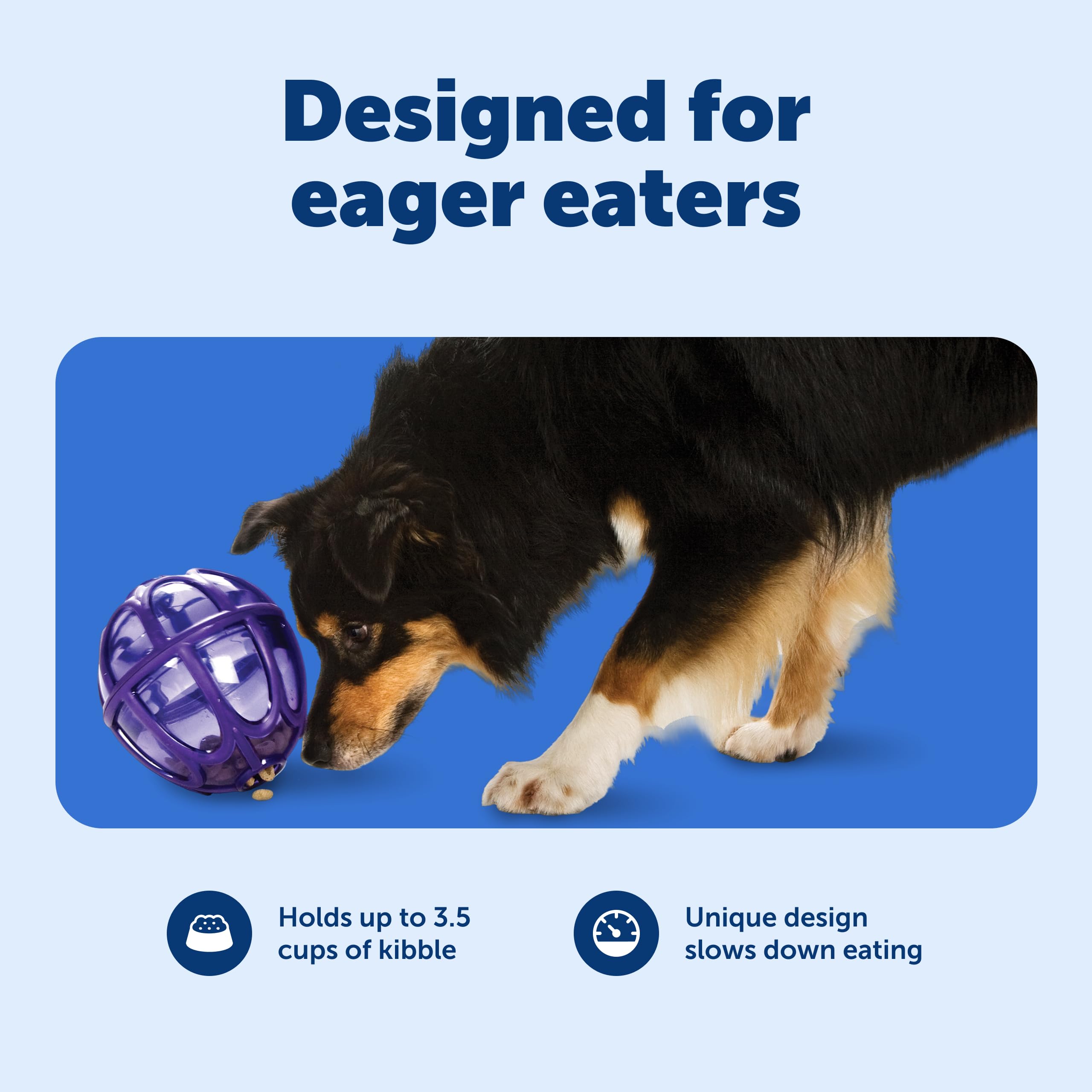 PetSafe Busy Buddy Kibble Nibble treat meter showing random rewards