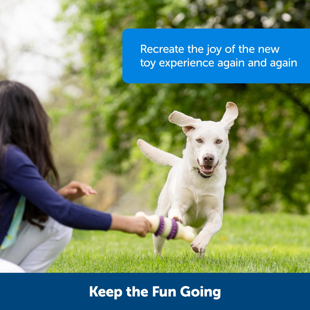 PetSafe Busy Buddy Treat Ring compatible with Busy Buddy toys for extended play.