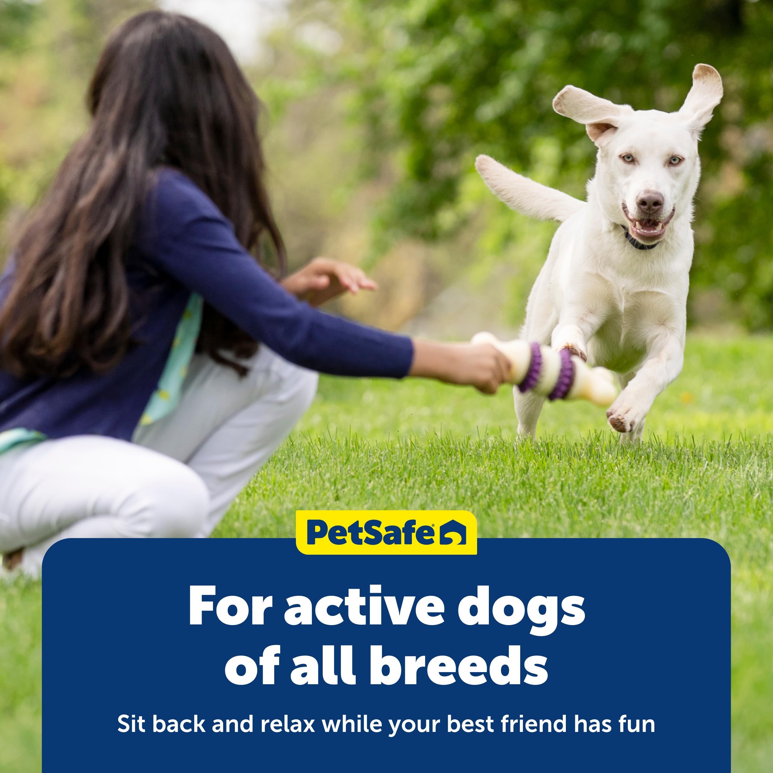PetSafe Busy Buddy Treat Ring dog enjoying a chew during playtime