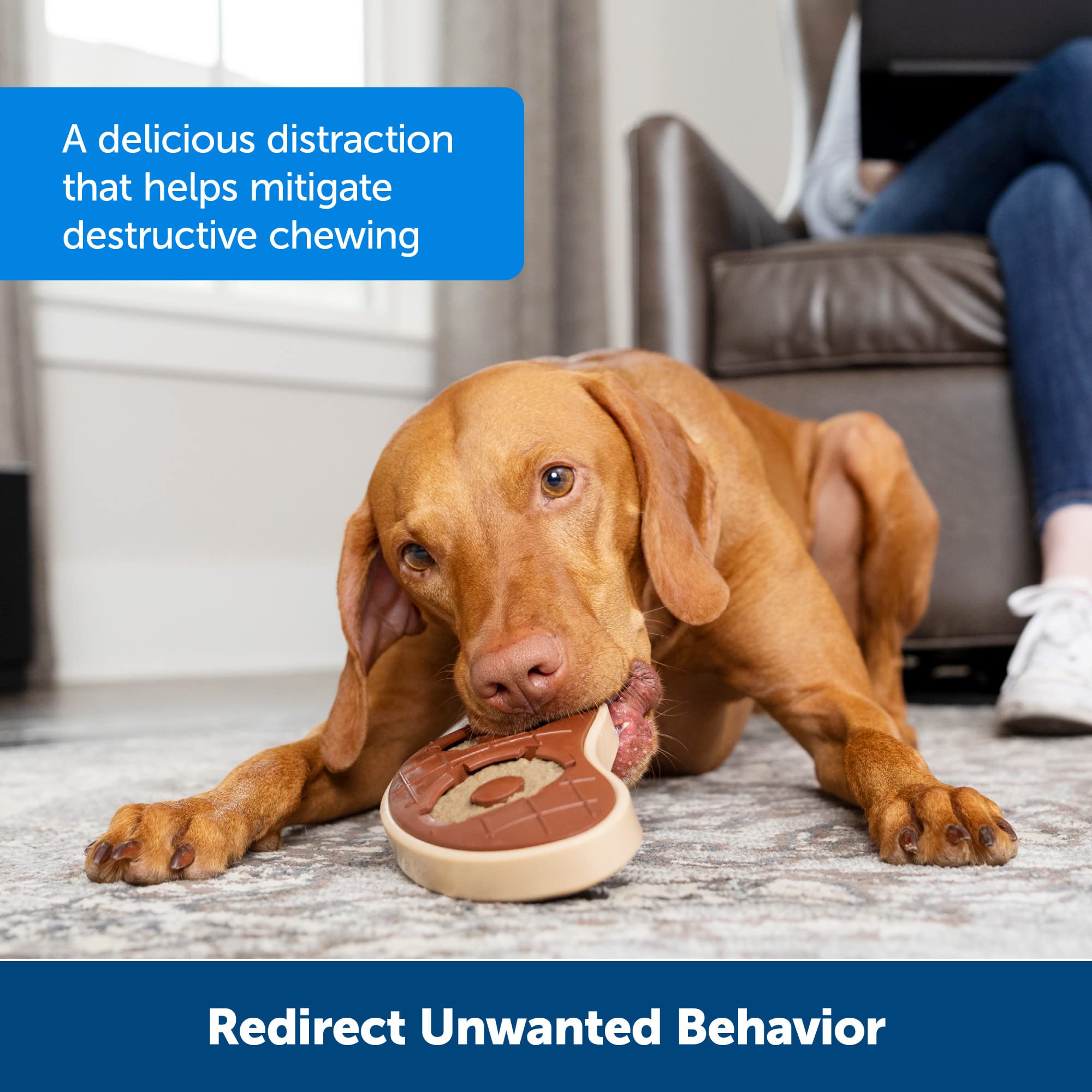 PetSafe Busy Buddy Treat Ring large size supports bigger dogs' slow-chew enjoyment.