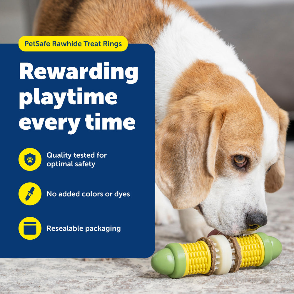 PetSafe Busy Buddy Treat Ring original rawhide flavor supports training rewards and longer sessions