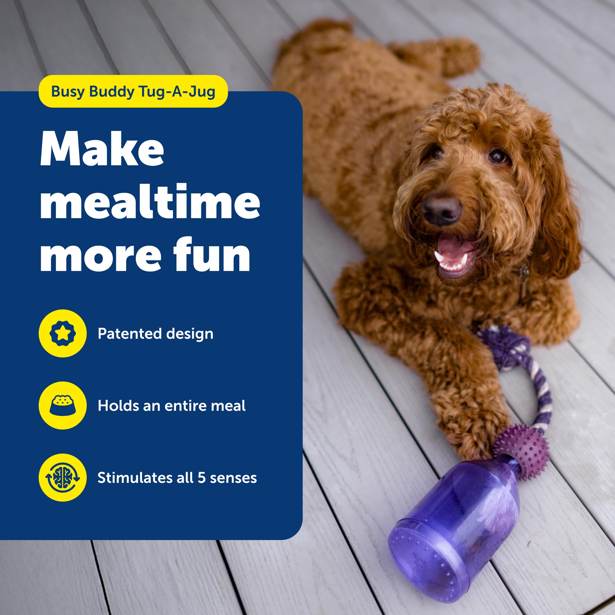 PetSafe Tug-A-Jug braided rope focus for tugging games that engage chewing instincts.