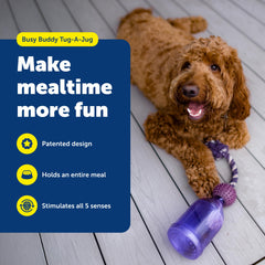 PetSafe Tug-A-Jug braided rope focus for tugging games that engage chewing instincts.
