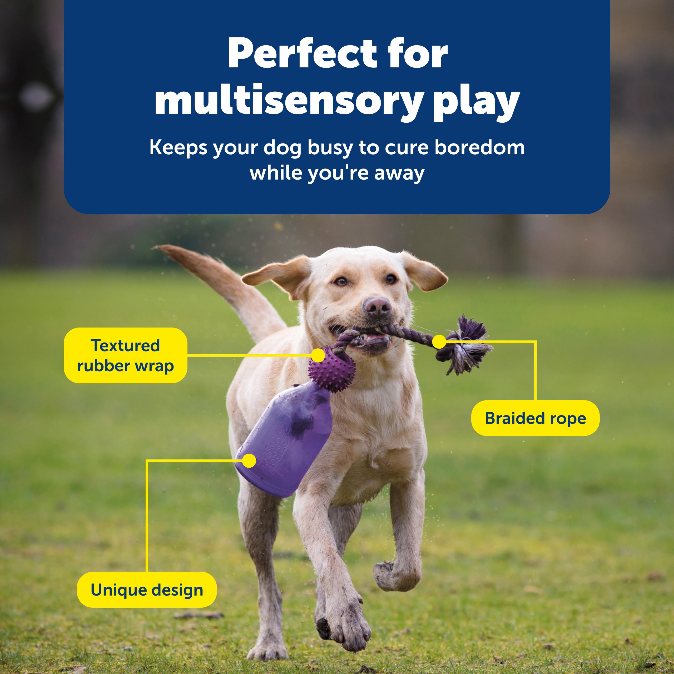 PetSafe Tug-A-Jug medium/large dog toy for bigger breeds.