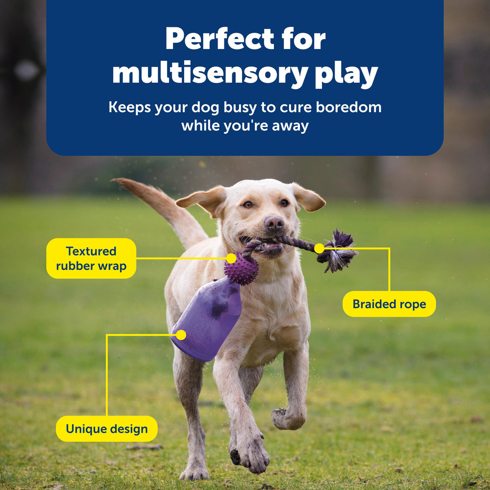 PetSafe Tug-A-Jug medium/large dog toy for bigger breeds.