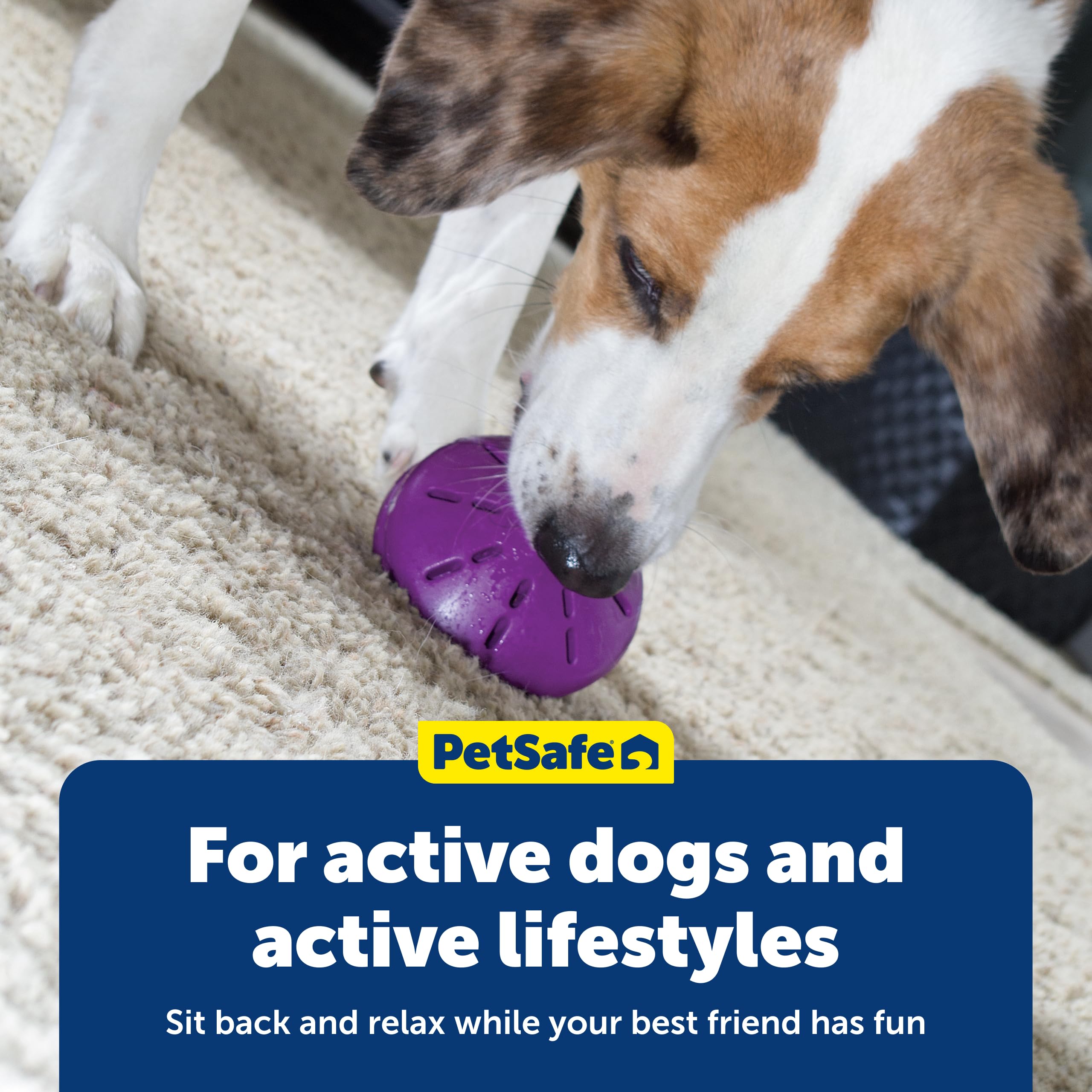 PetSafe Busy Buddy Twist 'n Treat large suitable for soft to medium chewers.