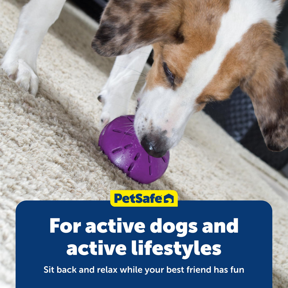 PetSafe Busy Buddy Twist 'n Treat large suitable for soft to medium chewers.