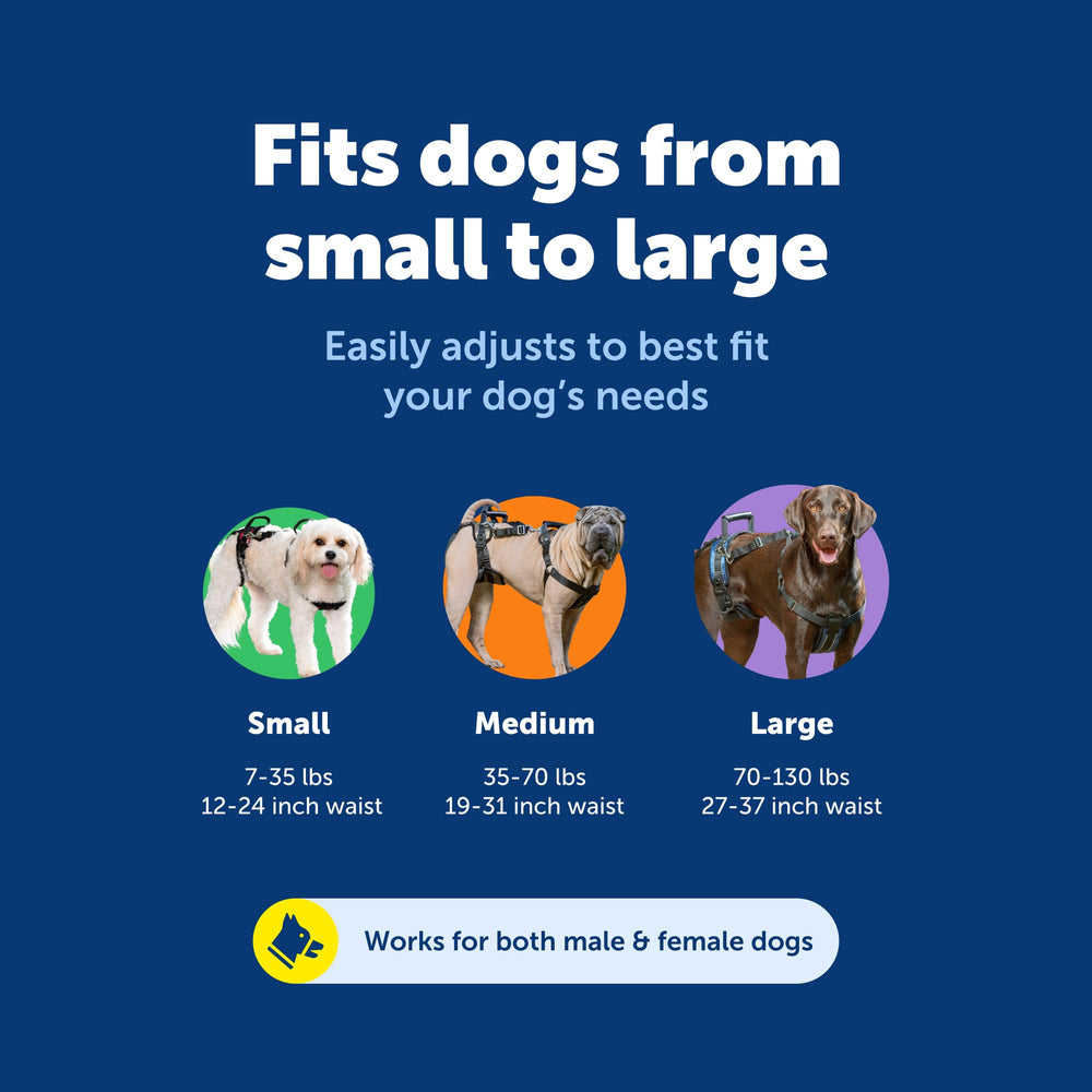 PetSafe CareLift adjustable padding and sizing for a secure, comfortable fit.