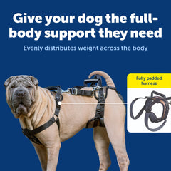PetSafe CareLift front and rear handles reduce lift strain during transfers.