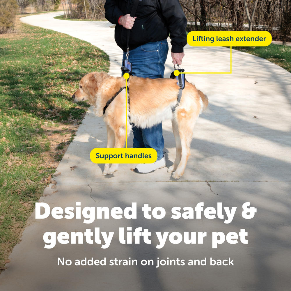 PetSafe CareLift front and rear handles provide balanced support for standing