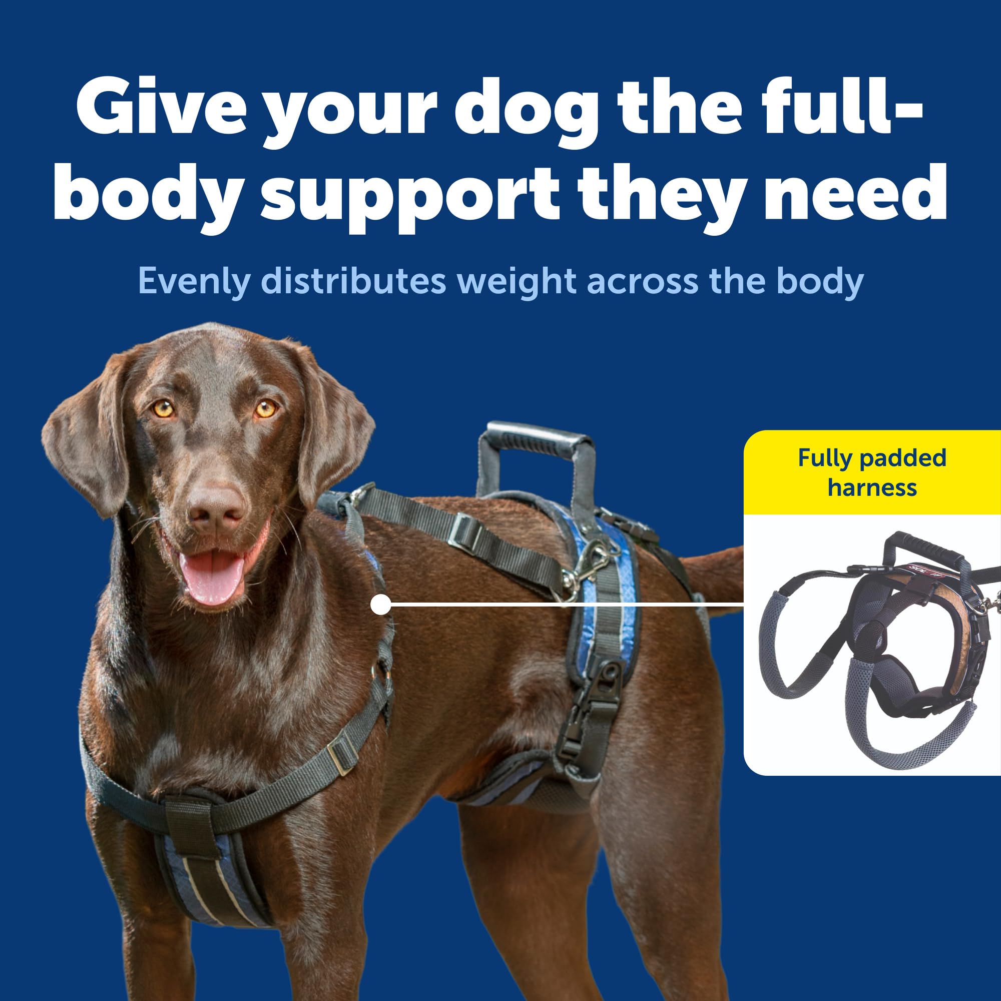 PetSafe CareLift lifting leash helps owners guide dogs safely with less strain