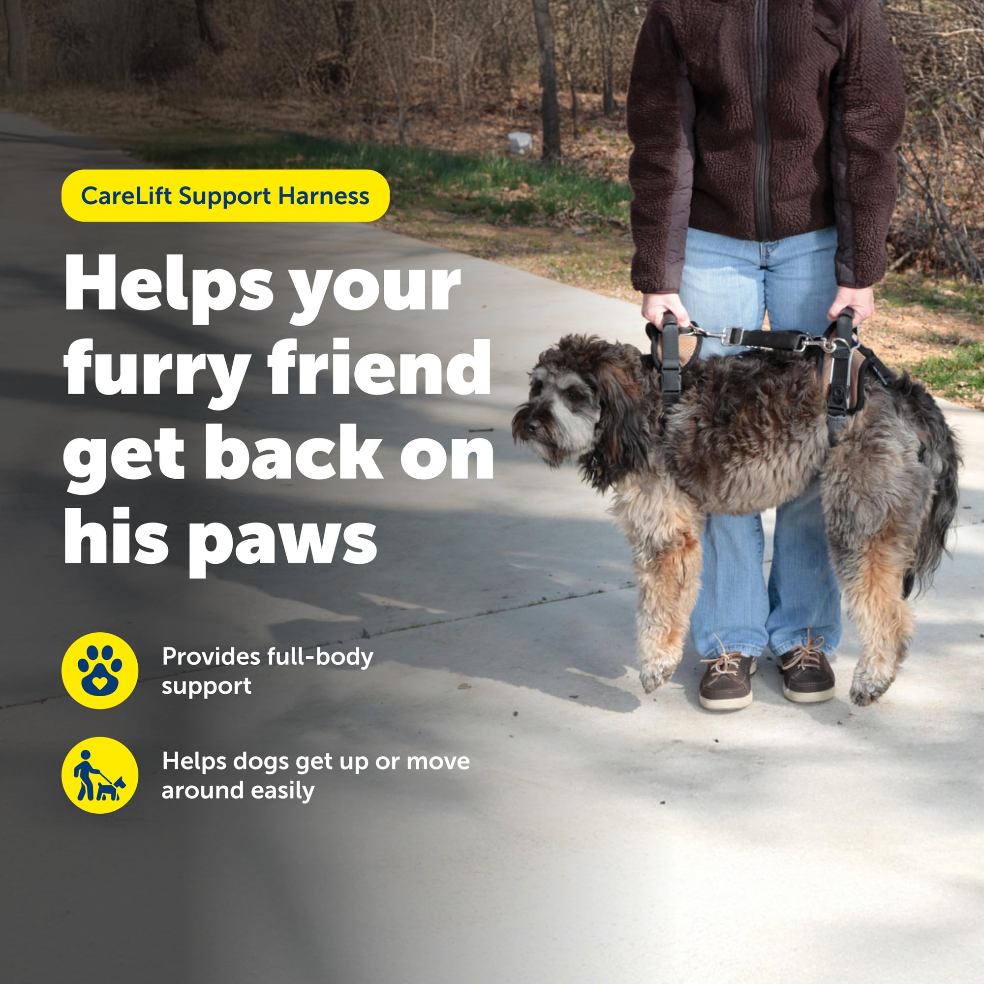 PetSafe CareLift lifting leash helps your dog stand and move with care.
