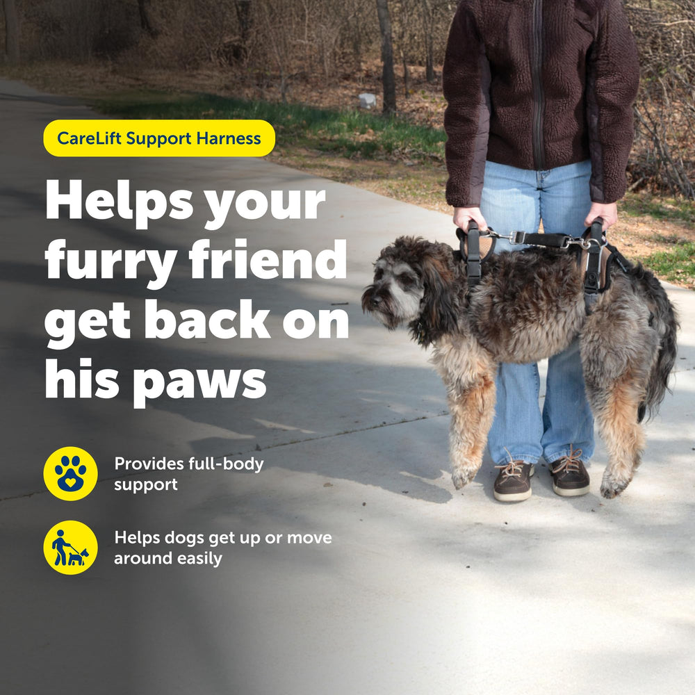 PetSafe CareLift lifting leash helps your dog stand and move with care.