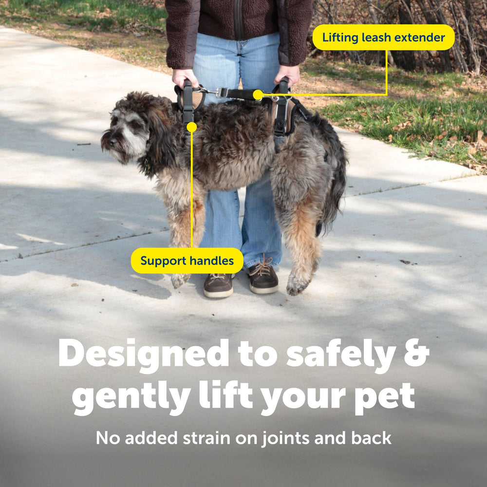 PetSafe CareLift removable shield adds comfort for male dogs during potty breaks.