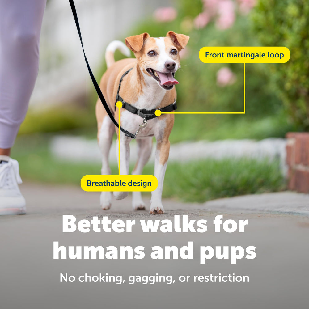 Petsafe chest-strap design harness for gentle guiding without neck pressure.