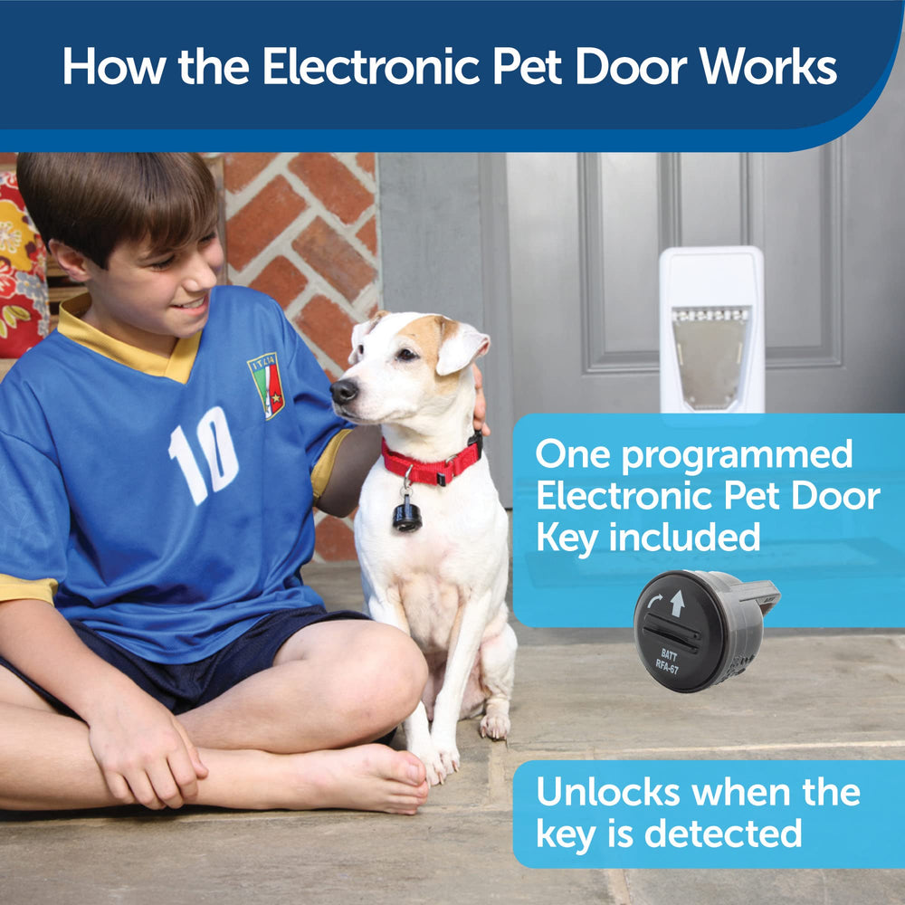 PetSafe collar key detection demonstrates secure entry via worn key