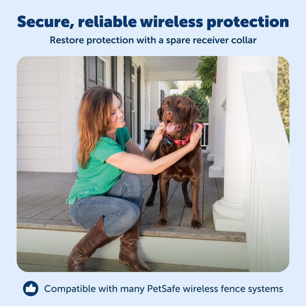 PetSafe waterproof collar keeps pets comfortable during outdoor play.