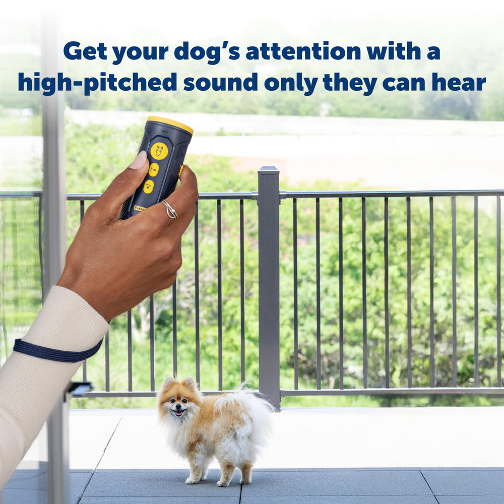 PetSafe Collarless Trainer ergonomic design for comfortable daily use