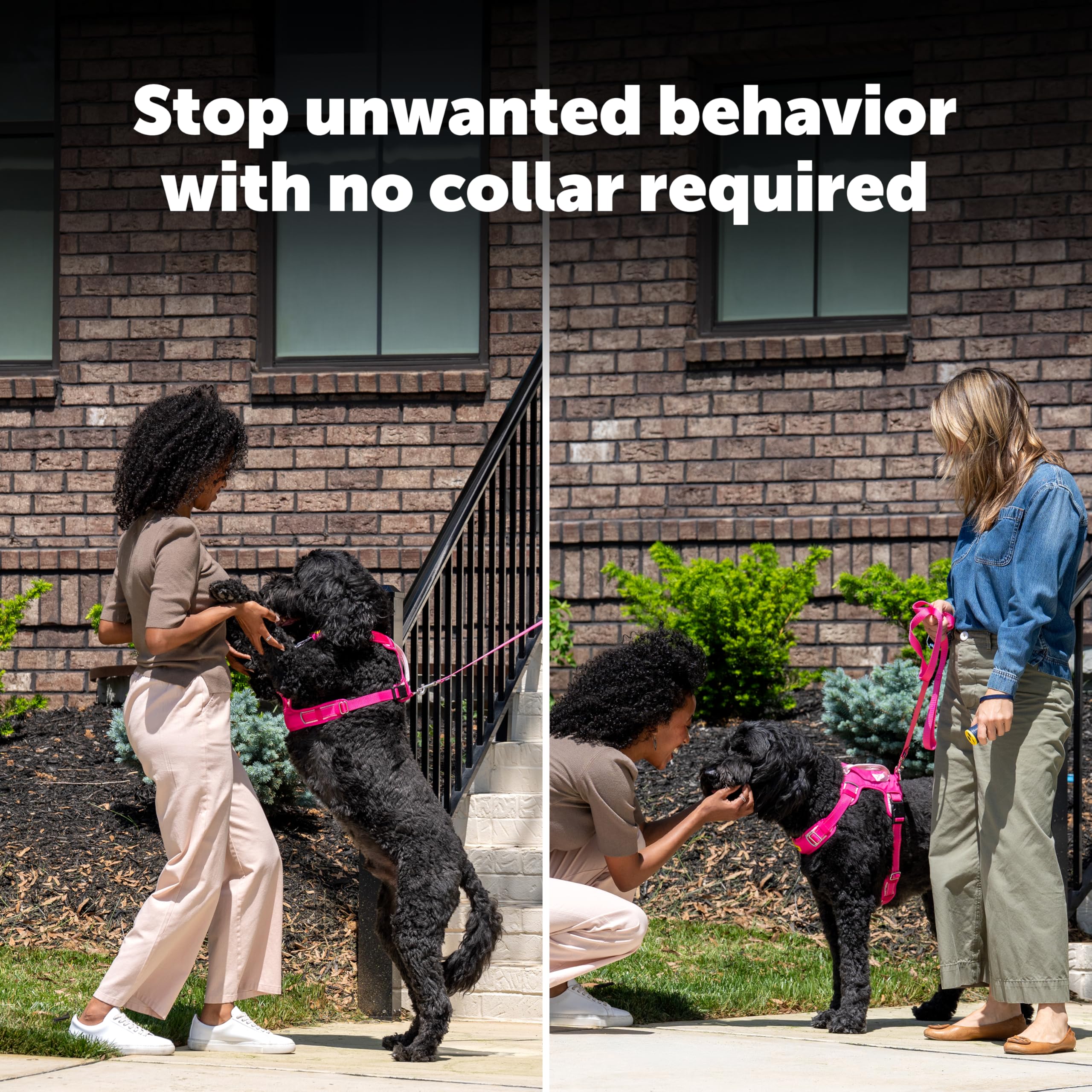 PetSafe Collarless Trainer four training modes for versatile training