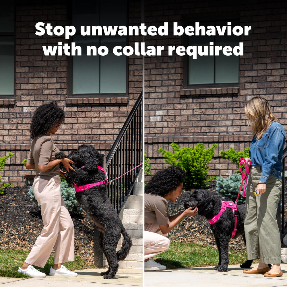 PetSafe Collarless Trainer four training modes for versatile training