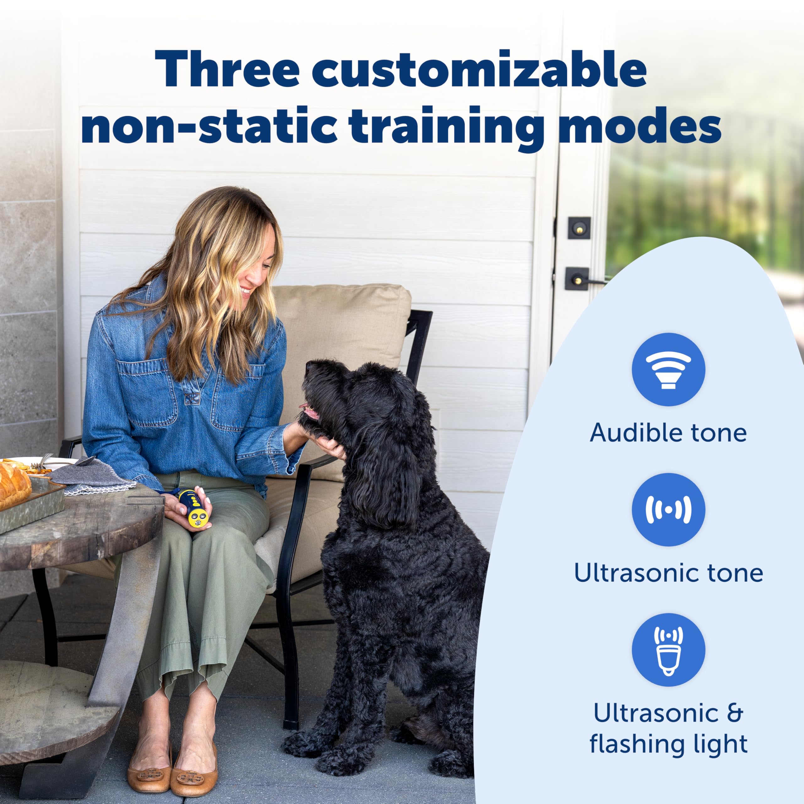 PetSafe Collarless Trainer ultrasonic frequencies safely capture attention