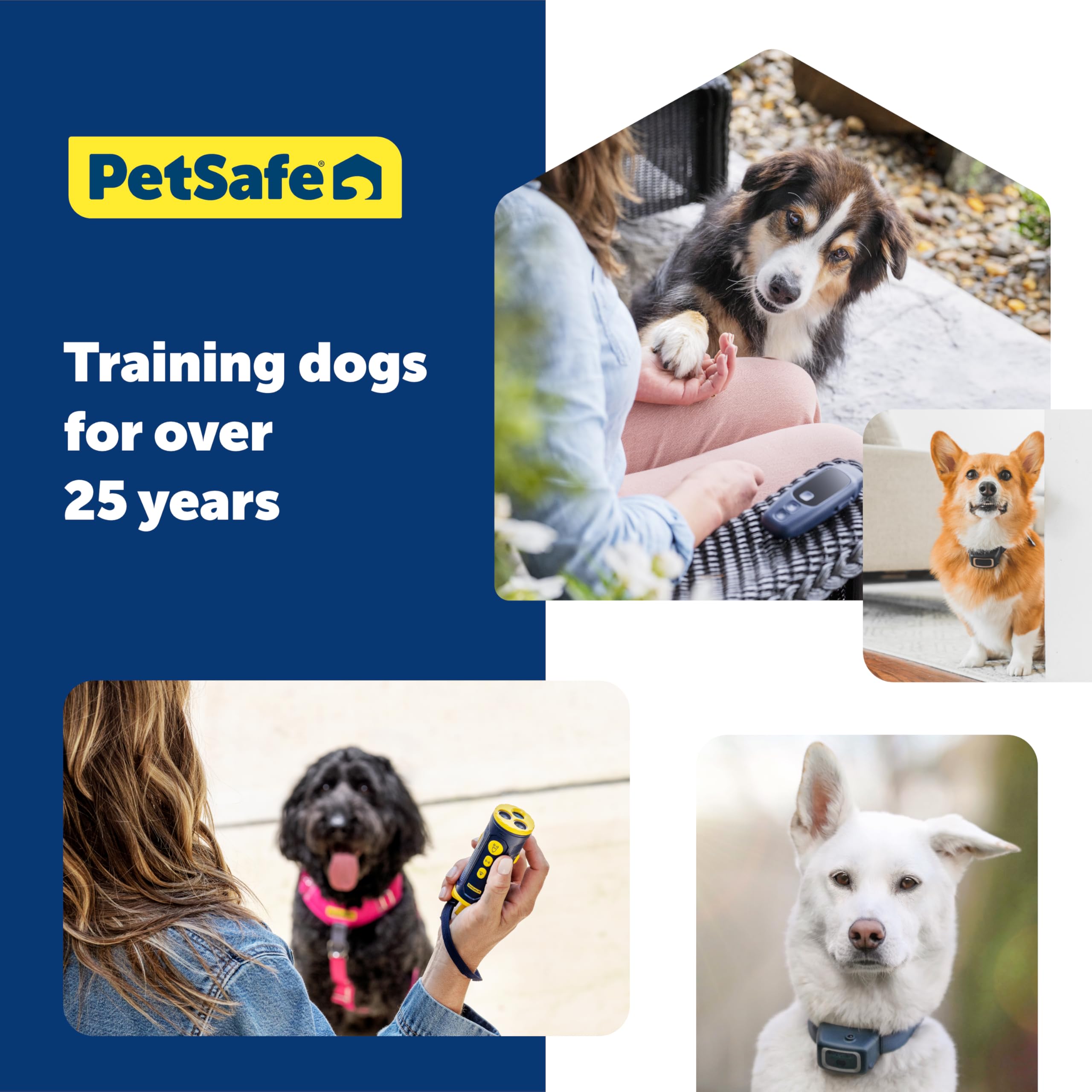 PetSafe Collarless Trainer on walks for quick, non-contact corrections