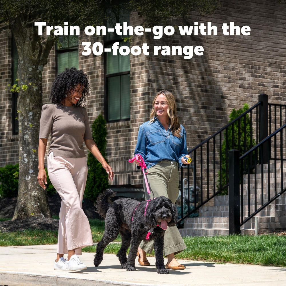 PetSafe Collarless Trainer wrist strap for secure carry