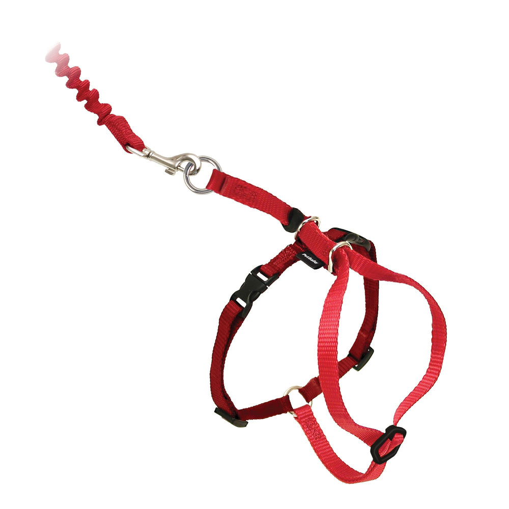 PetSafe Come With Me Kitty Harness shows adjustable points for a secure fit.